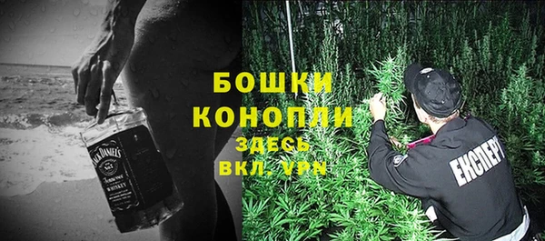 стафф Богородицк