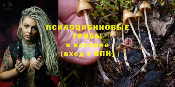 мдма Протвино