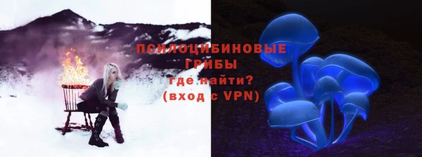 гидропоника Богданович