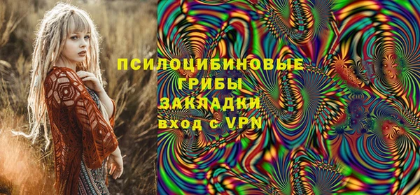 гидропоника Богданович