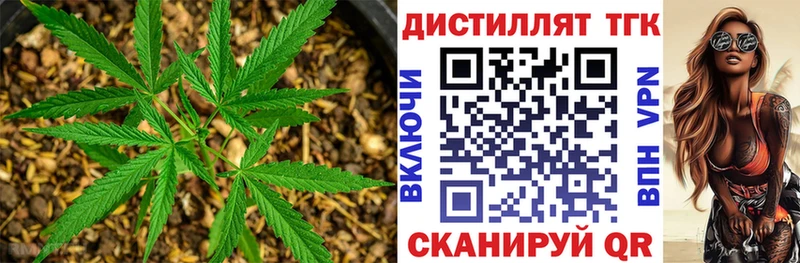 ТГК вейп с тгк  hydra как войти  Няндома  купить  